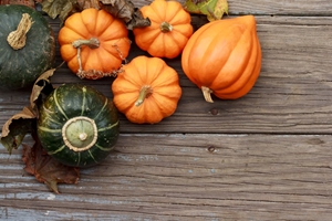 Join The Pumpkin Craze: Trendy Foods To Please Your Palette