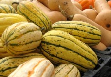 Winter offers up a slew of tasty squash varieties.