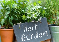 Grow your very own herb garden.